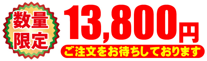 13800円★税込価格・安心3ヶ月保証