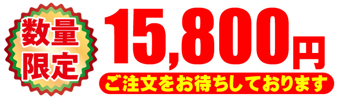 15800円★税込価格・送料無料・安心3ヶ月保証