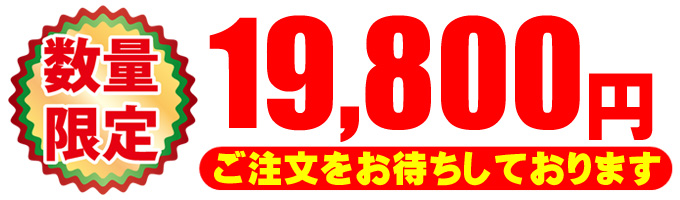 価格★数量限定19800円☆ご注文をおまちしております